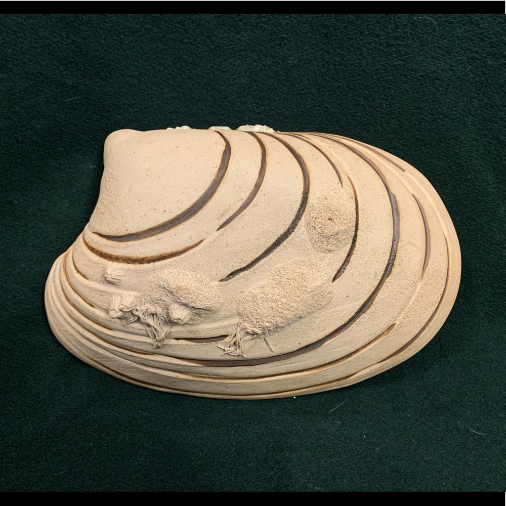 Big seashell by leishmam